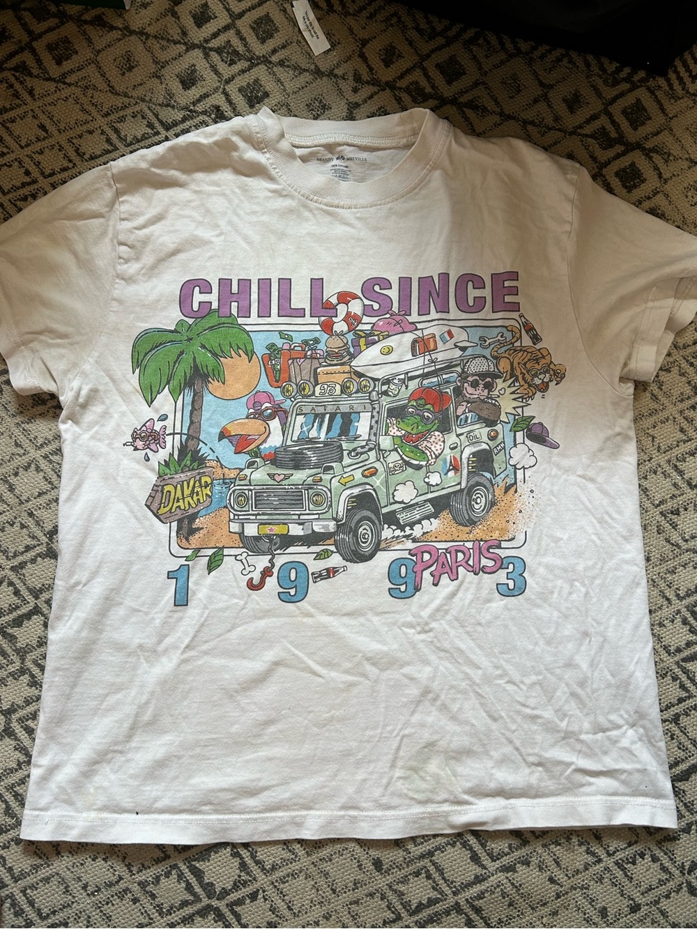 Brandy Melville Chill Since 1993 T-Shirt